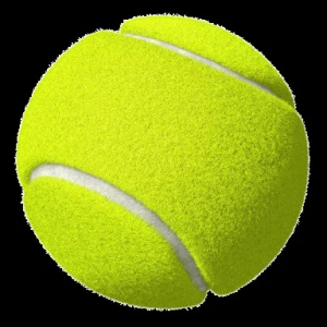 Pro Tennis Balls