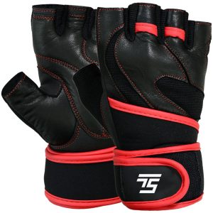 Best MMA Sparring Gloves