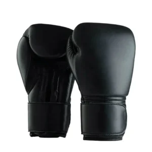 black 12oz boxing gloves